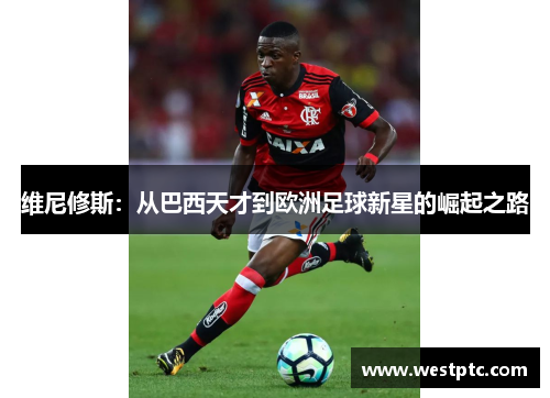 维尼修斯：从巴西天才到欧洲足球新星的崛起之路